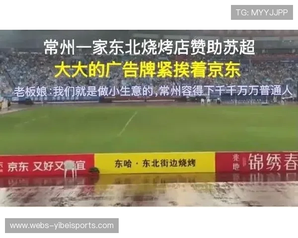 赞助体系依托多维度曝光数据整合,实现品牌广告资源的精准跨屏投放。